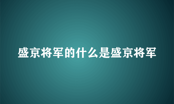 盛京将军的什么是盛京将军