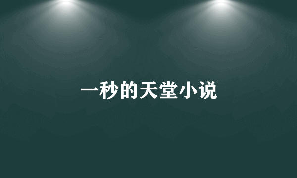 一秒的天堂小说