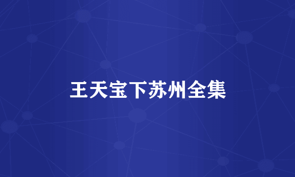 王天宝下苏州全集
