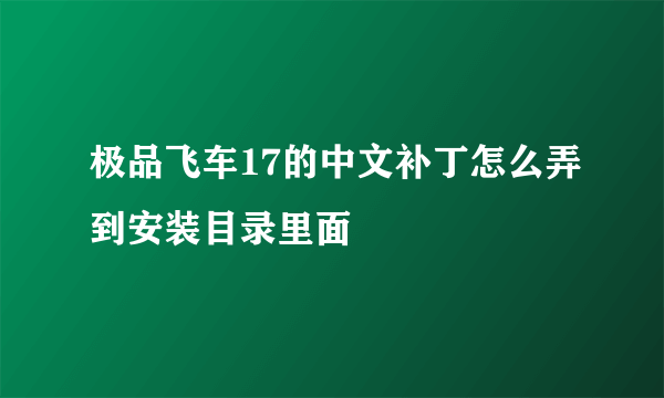 极品飞车17的中文补丁怎么弄到安装目录里面