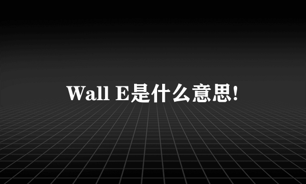 Wall E是什么意思!