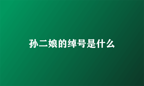孙二娘的绰号是什么