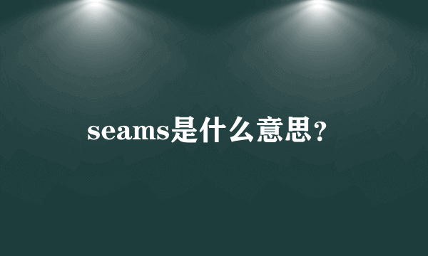 seams是什么意思？