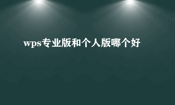 wps专业版和个人版哪个好