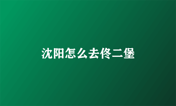 沈阳怎么去佟二堡