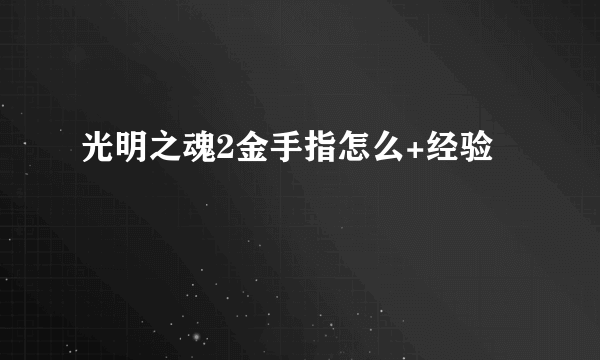 光明之魂2金手指怎么+经验