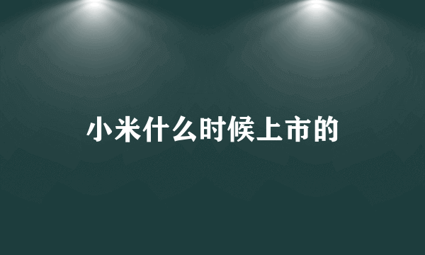 小米什么时候上市的