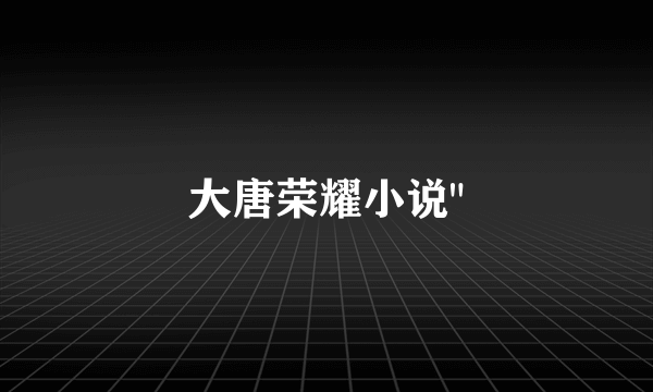 大唐荣耀小说