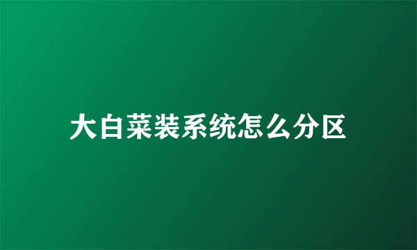 大白菜装系统怎么分区