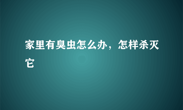 家里有臭虫怎么办，怎样杀灭它