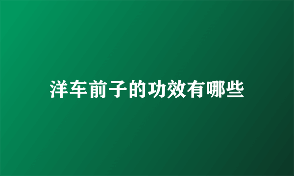 洋车前子的功效有哪些