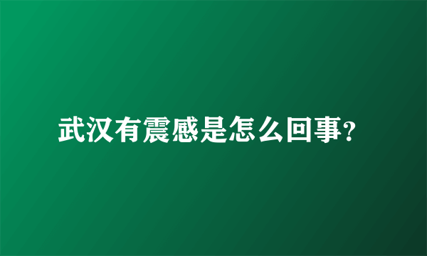 武汉有震感是怎么回事？