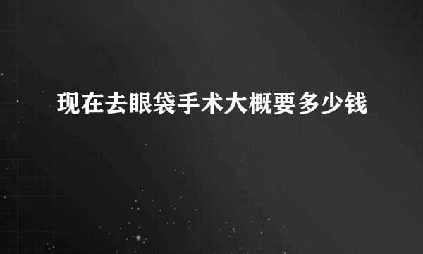 现在去眼袋手术大概要多少钱