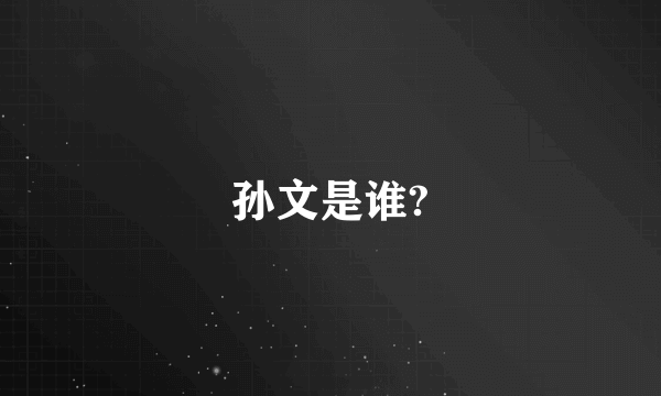 孙文是谁?