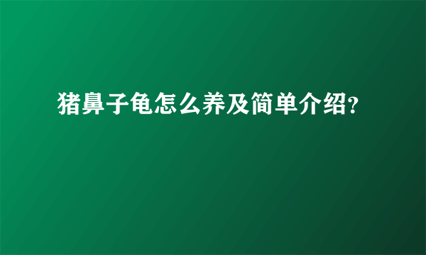 猪鼻子龟怎么养及简单介绍？