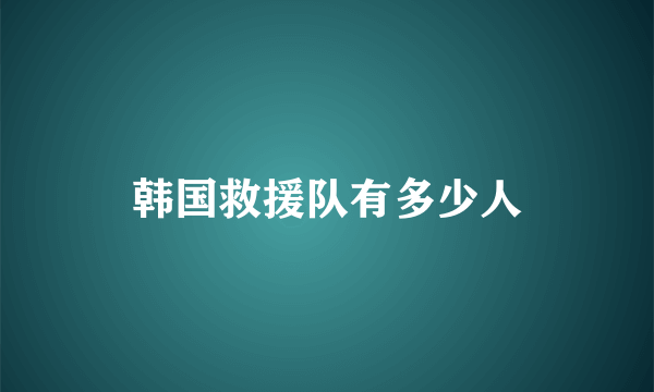 韩国救援队有多少人