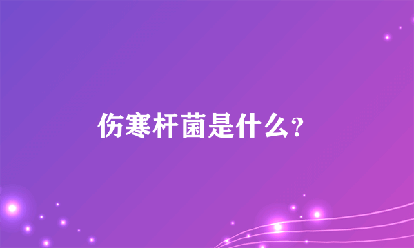伤寒杆菌是什么？