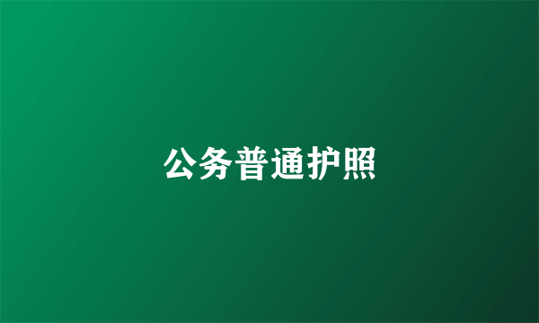 公务普通护照