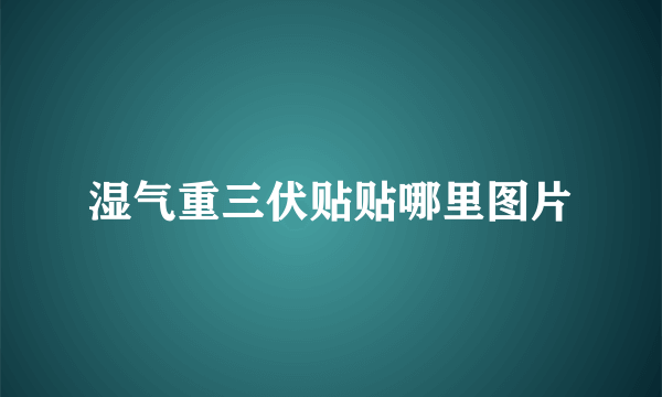 湿气重三伏贴贴哪里图片