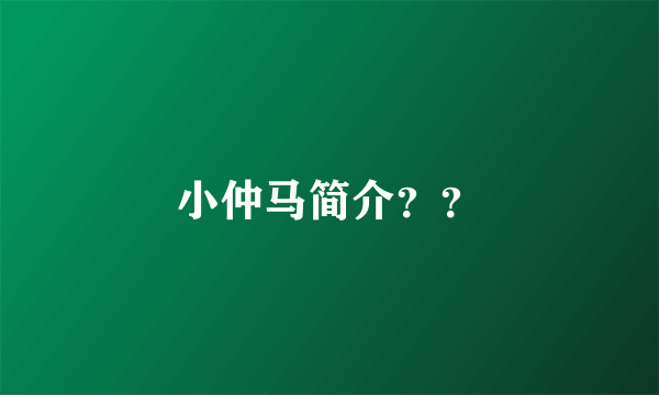 小仲马简介？？