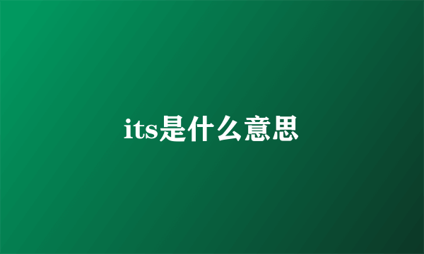 its是什么意思