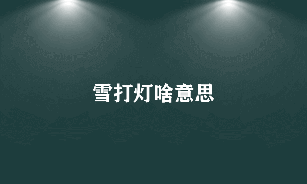 雪打灯啥意思