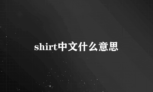shirt中文什么意思