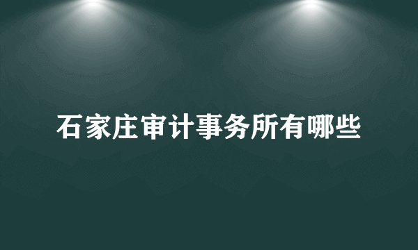 石家庄审计事务所有哪些