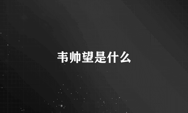 韦帅望是什么
