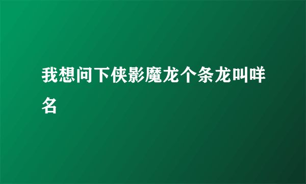 我想问下侠影魔龙个条龙叫咩名