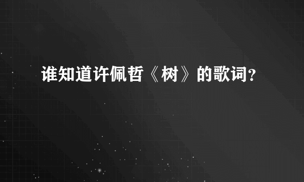 谁知道许佩哲《树》的歌词？