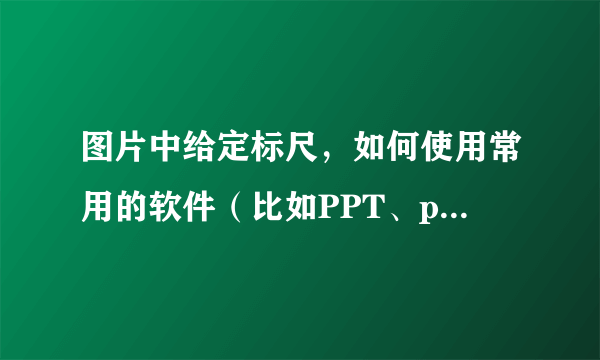 图片中给定标尺，如何使用常用的软件（比如PPT、photoshop）测量长度？