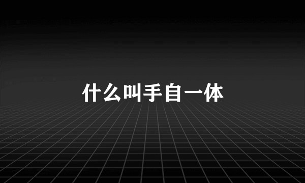 什么叫手自一体