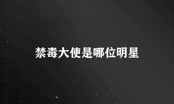 禁毒大使是哪位明星