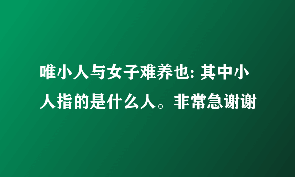唯小人与女子难养也: 其中小人指的是什么人。非常急谢谢