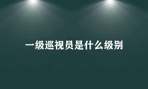 一级巡视员是什么级别
