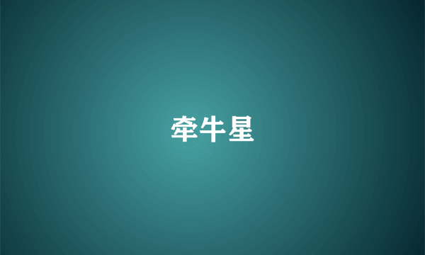 牵牛星