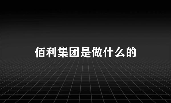 佰利集团是做什么的