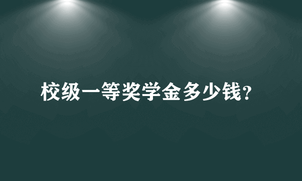 校级一等奖学金多少钱？