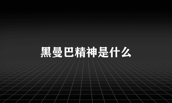 黑曼巴精神是什么