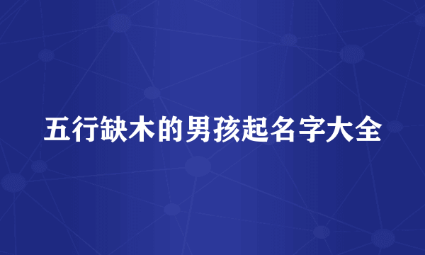 五行缺木的男孩起名字大全