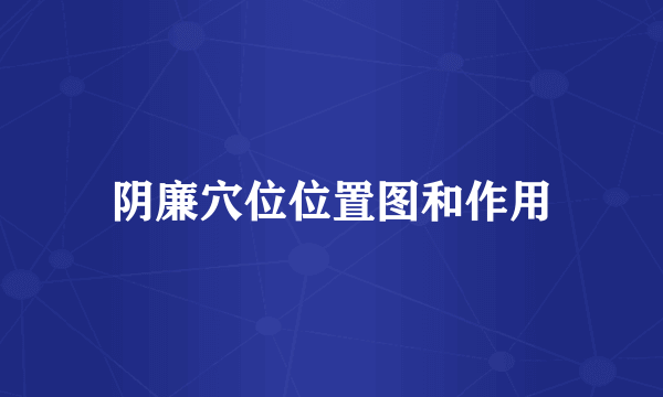阴廉穴位位置图和作用