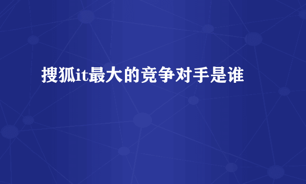 搜狐it最大的竞争对手是谁