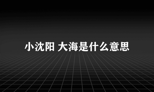 小沈阳 大海是什么意思