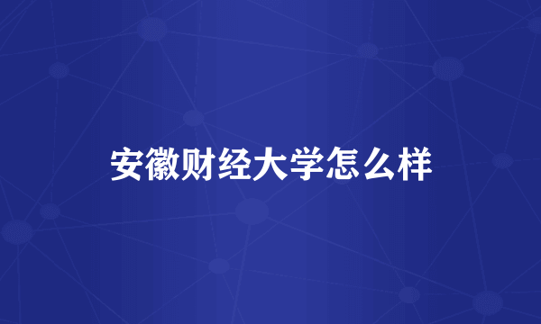 安徽财经大学怎么样