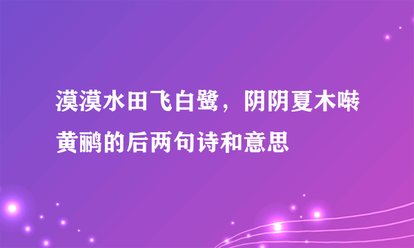 漠漠水田飞白鹭，阴阴夏木啭黄鹂的后两句诗和意思