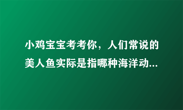 小鸡宝宝考考你，人们常说的美人鱼实际是指哪种海洋动物? 11月27日蚂蚁庄园答案