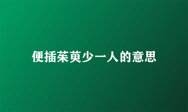 便插茱萸少一人的意思