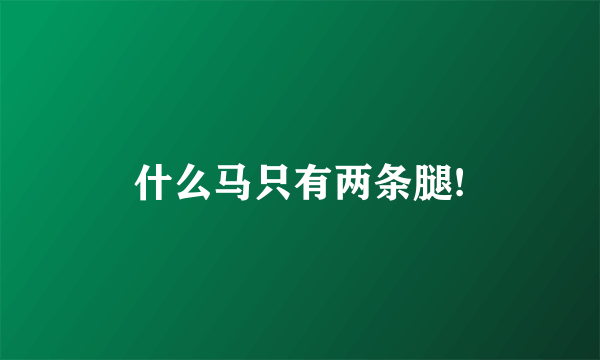 什么马只有两条腿!