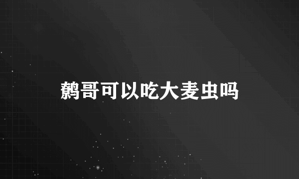 鹩哥可以吃大麦虫吗